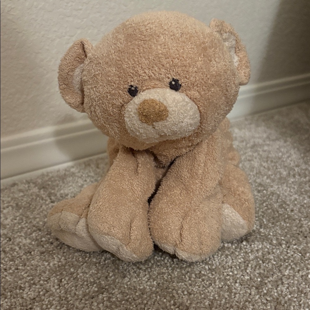 2007 TY Pluffies Woods the Bear